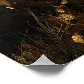 Saguaro Sunrise in het Nationaal Park Saguaro Poster (Hoek)