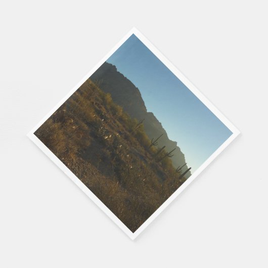 Saguaro Sunrise in het Nationaal Park Saguaro Servet (Hoek)