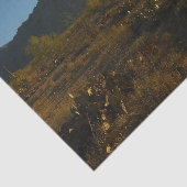 Saguaro Sunrise in het Nationaal Park Saguaro Tissuepapier (Detail)