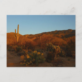 Saguaro Sunset I Arizona Briefkaart