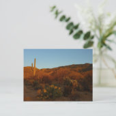 Saguaro Sunset I Arizona Briefkaart (Staand voorkant)