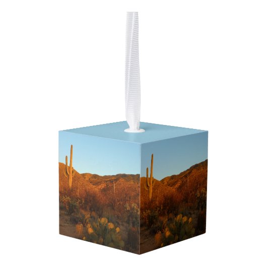 Saguaro Sunset I Arizona Decoratie (Achter hoekig)