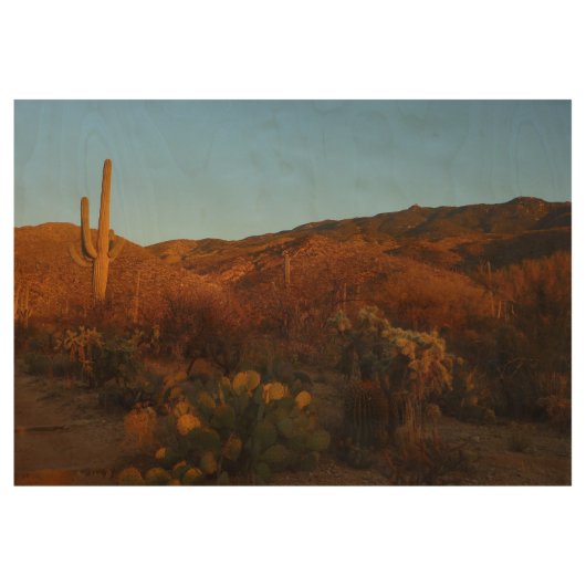 Saguaro Sunset I Arizona Houten Poster (Voorkant)