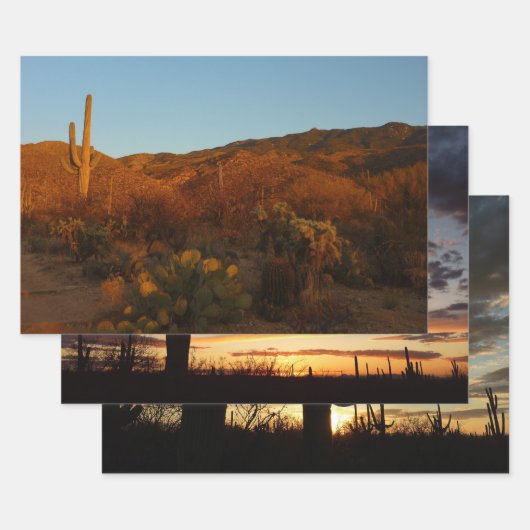 Saguaro Sunset I Arizona Inpakpapier Vel (Set)