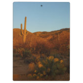 Saguaro Sunset I Arizona Klembord (Achterkant)