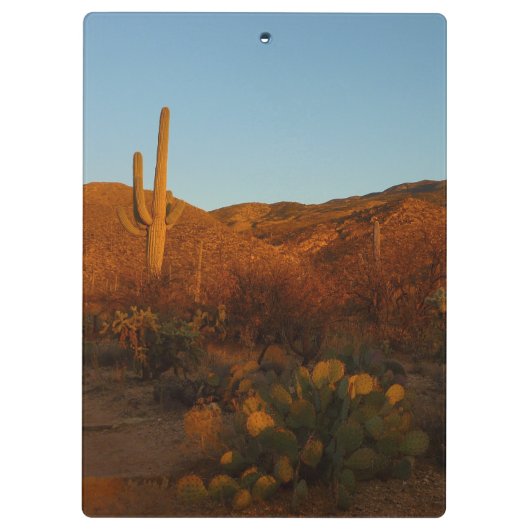 Saguaro Sunset I Arizona Klembord (Achterkant)
