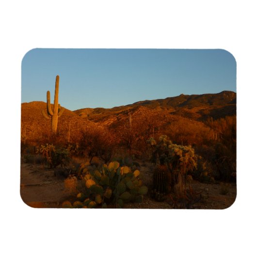 Saguaro Sunset I Arizona Magneet (Horizontaal)