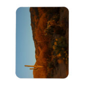 Saguaro Sunset I Arizona Magneet (Verticaal)