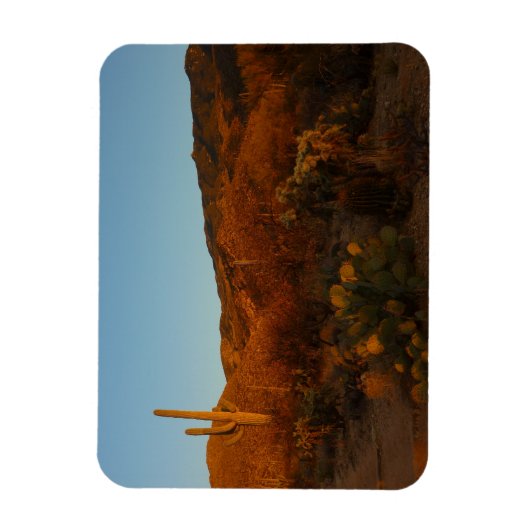 Saguaro Sunset I Arizona Magneet (Verticaal)