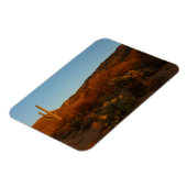 Saguaro Sunset I Arizona Magneet (Linkerzijde)