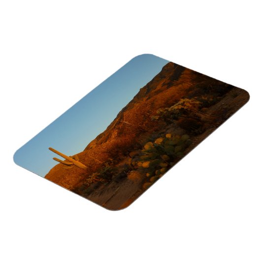 Saguaro Sunset I Arizona Magneet (Linkerzijde)