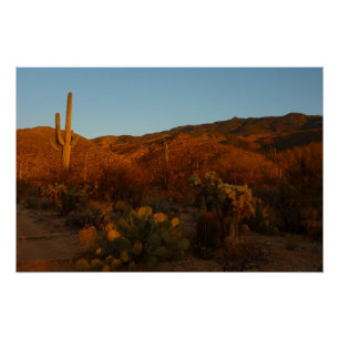 Saguaro Sunset I Arizona Poster