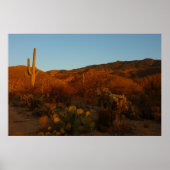Saguaro Sunset I Arizona Poster (Voorkant)