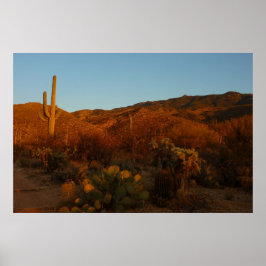 Saguaro Sunset I Arizona Poster