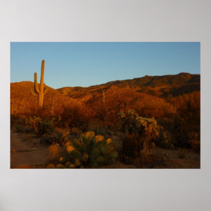 Saguaro Sunset I Arizona Poster