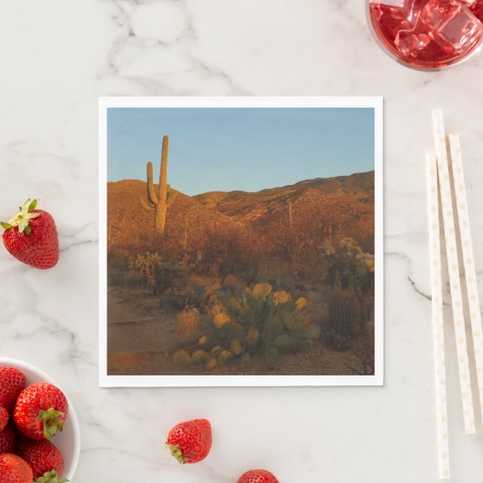 Saguaro Sunset I Arizona Servet (Insitu)