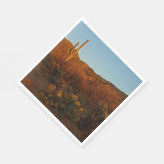 Saguaro Sunset I Arizona Servet (Hoek)