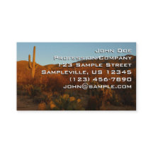 Saguaro Sunset I Arizona