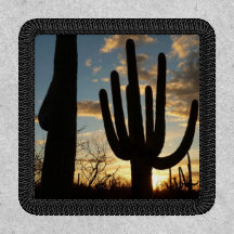 Saguaro Sunset II Arizona