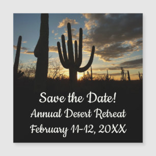 Saguaro Sunset II Arizona