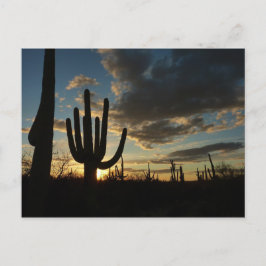 Saguaro Sunset II Arizona Briefkaart
