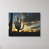 Saguaro Sunset II Arizona Canvas Afdruk (Voorkant)