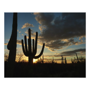 Saguaro Sunset II Arizona Foto Afdruk