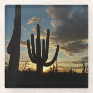 Saguaro Sunset II Arizona Glazen Onderzetter