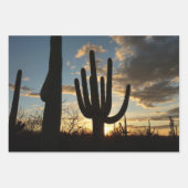 Saguaro Sunset II Arizona Inpakpapier Vel (Voorkant)