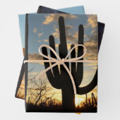 Saguaro Sunset II Arizona Inpakpapier Vel (In situ)