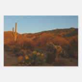 Saguaro Sunset II Arizona Inpakpapier Vel (Voorkant 3)