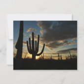 Saguaro Sunset II Arizona Kaart (Voorkant)