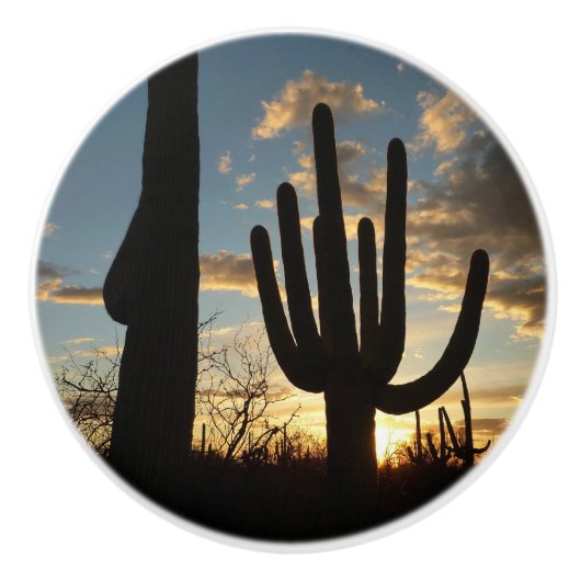 Saguaro Sunset II Arizona Keramische Knop (Voorkant)