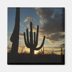 Saguaro Sunset II Arizona Magneet