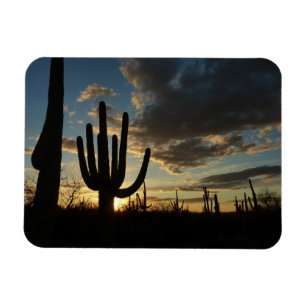 Saguaro Sunset II Arizona Magneet