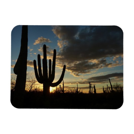 Saguaro Sunset II Arizona Magneet (Horizontaal)