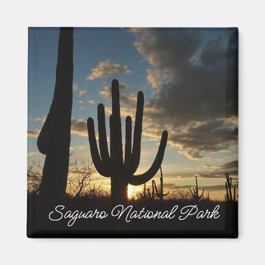 Saguaro Sunset II Arizona Magneet (Voorkant)