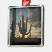 Saguaro Sunset II Arizona Metalen Ornament (Links)