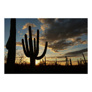 Saguaro Sunset II Arizona Perfect Poster