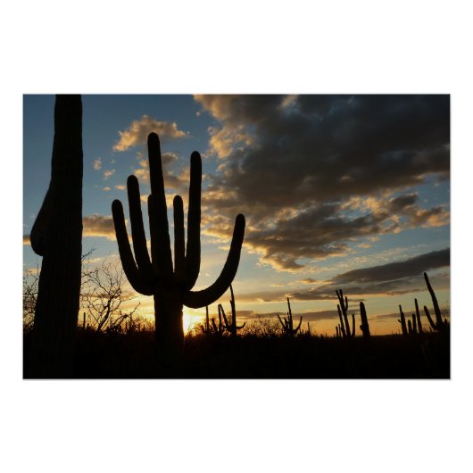 Saguaro Sunset II Arizona Perfect Poster (Voorkant)