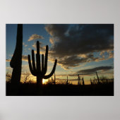 Saguaro Sunset II Arizona Poster (Voorkant)