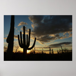 Saguaro Sunset II Arizona Poster