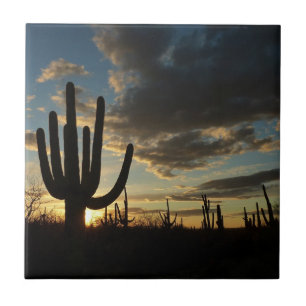 Saguaro Sunset II Arizona Tegeltje