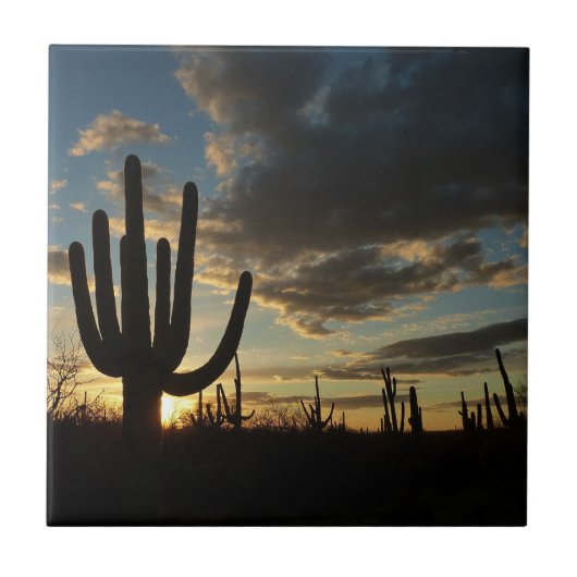 Saguaro Sunset II Arizona Tegeltje (Voorkant)