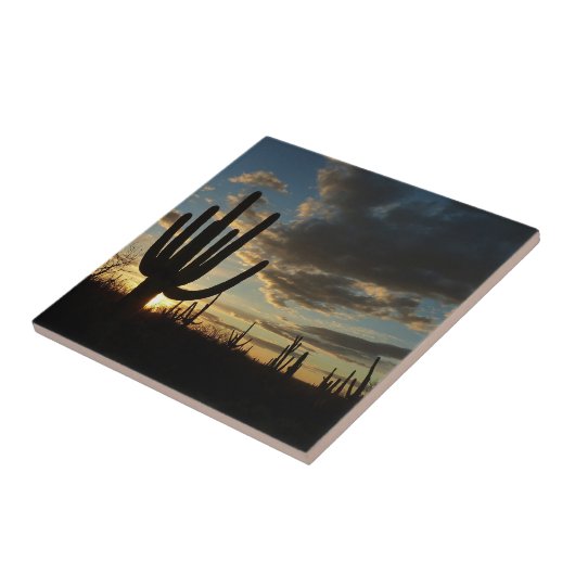 Saguaro Sunset II Arizona Tegeltje (Zijkant)