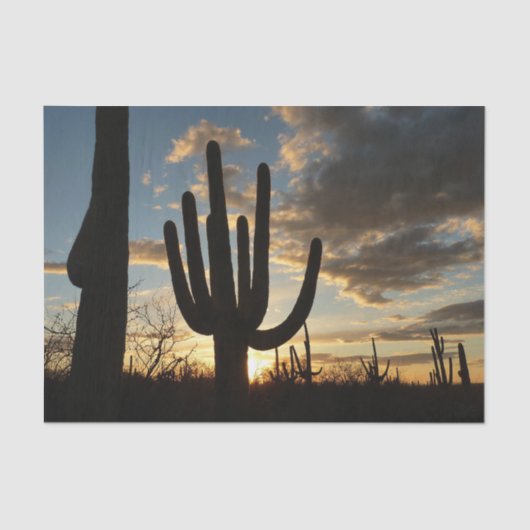 Saguaro Sunset II Arizona Tissuepapier (Voorkant)
