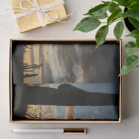 Saguaro Sunset II Arizona Tissuepapier (Geschenk)