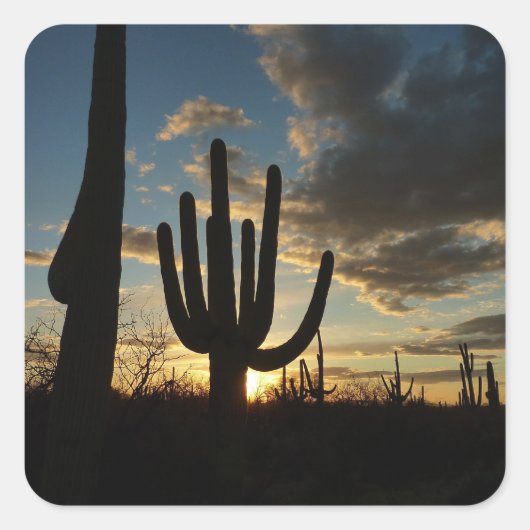 Saguaro Sunset II Arizona Vierkante Sticker (Voorkant)