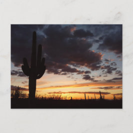 Saguaro Sunset III Arizona Briefkaart