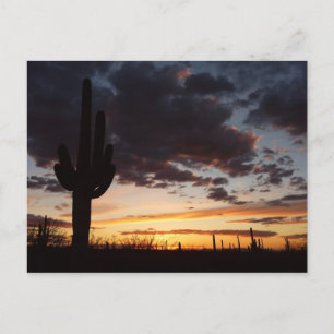 Saguaro Sunset III Arizona Briefkaart